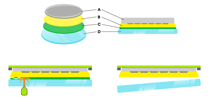RXRRT6BHF05S6OIF44C6_lthc-tbdb-process_R1